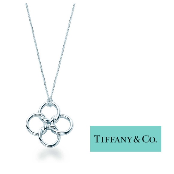 Tiffany & Co. Jewelry - 💍Tiffany & Co. Silver Pendant Necklace💍